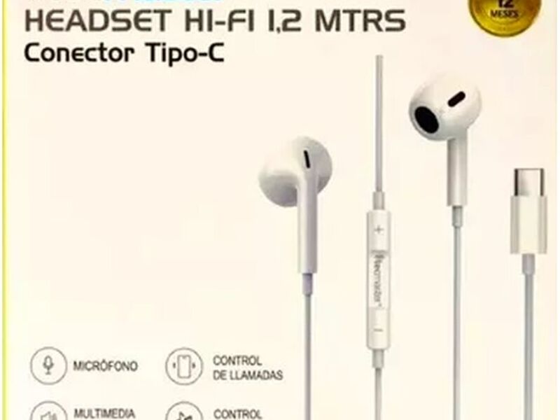 Audfonos In Ear Hi-fi Conector Tipo C Chile