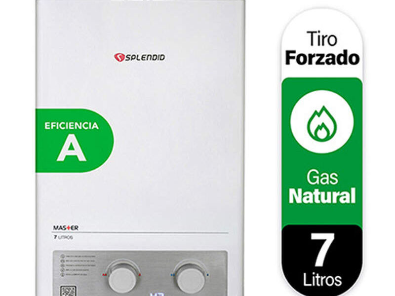 Calefón Gas Natural Santa Cruz Grupo Lanz